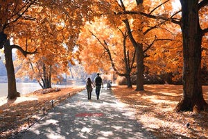 英格兰队遭遇惊险比赛，成功晋级